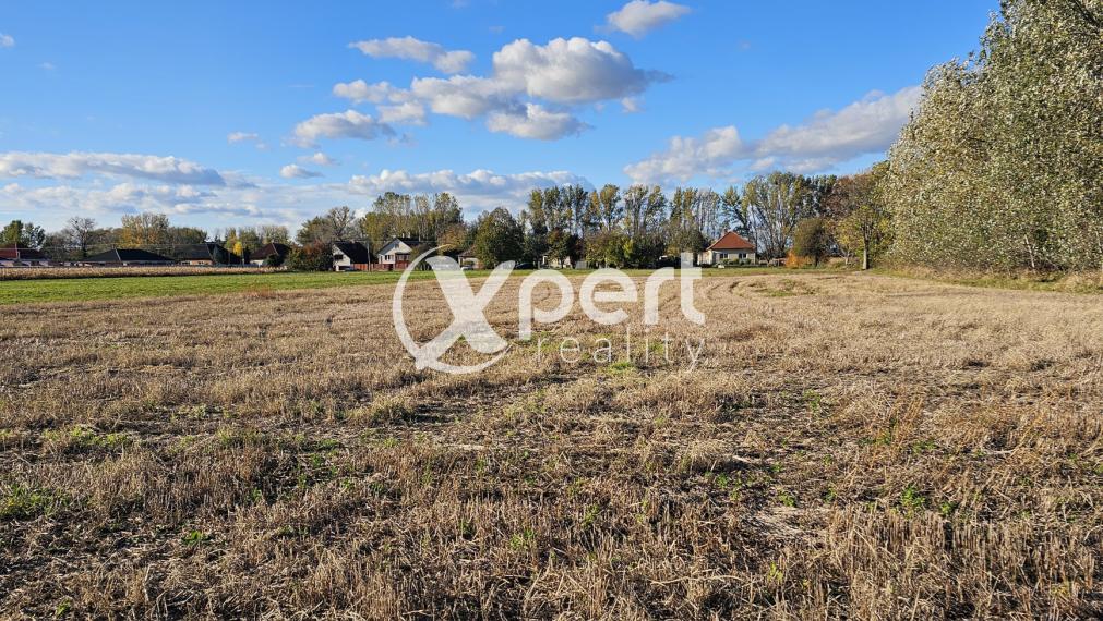 PREDAJ POZEMKU O VÝMERE 3453 M2 s rozmermi : 99 x 35 M na investíciu