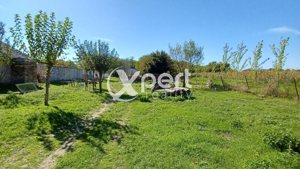 Snívaš o farme? Tak poď do toho!