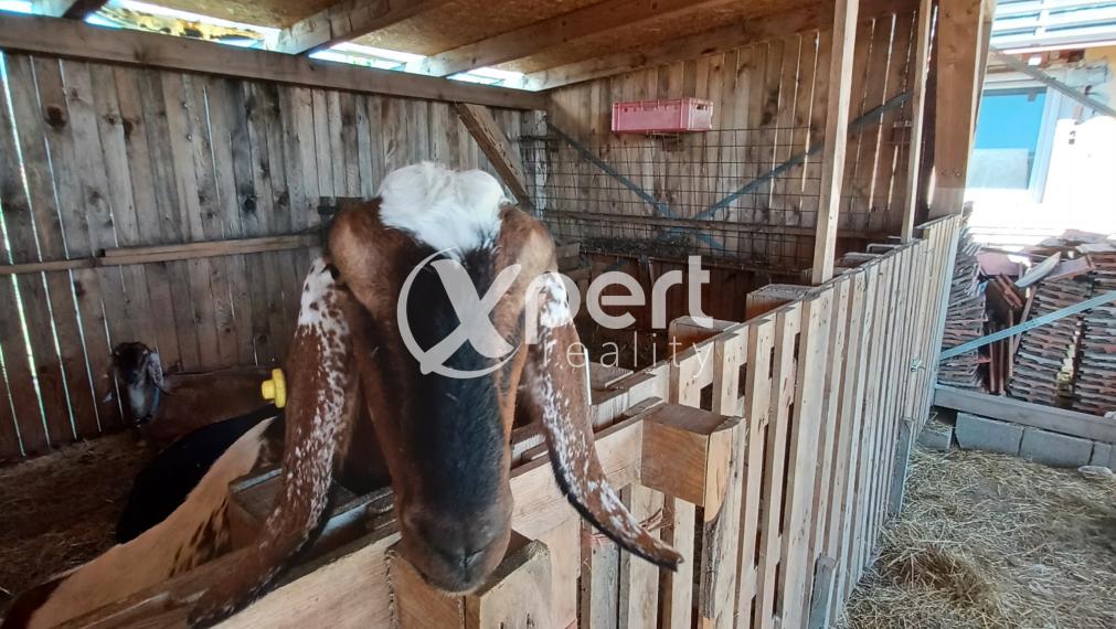 Snívaš o farme? Tak poď do toho!