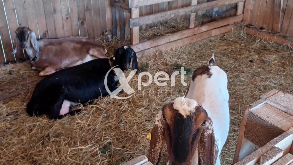 Snívaš o farme? Tak poď do toho!