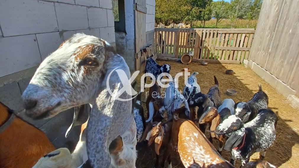 Snívaš o farme? Tak poď do toho!