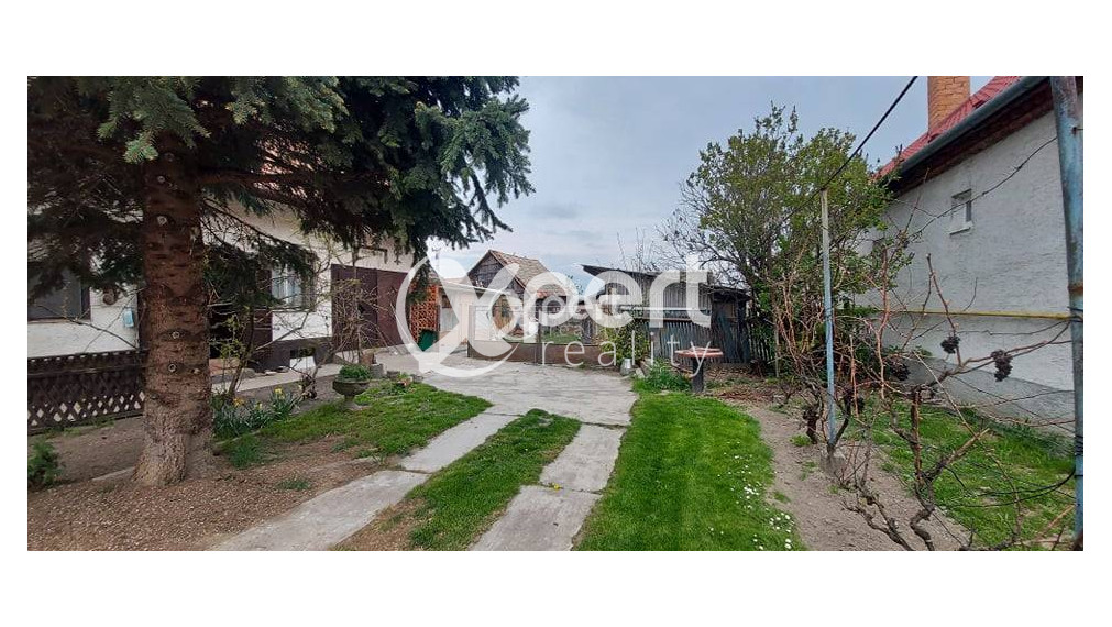 Na predaj stavebný pozemok 3057 m2 so starším RD v obci Topoľníky/99 999,- €