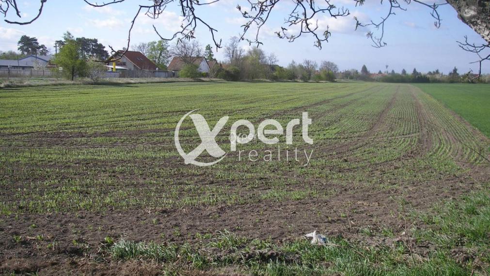 Predaj orná pôda o rozlohe 40hektárov v okrese DS