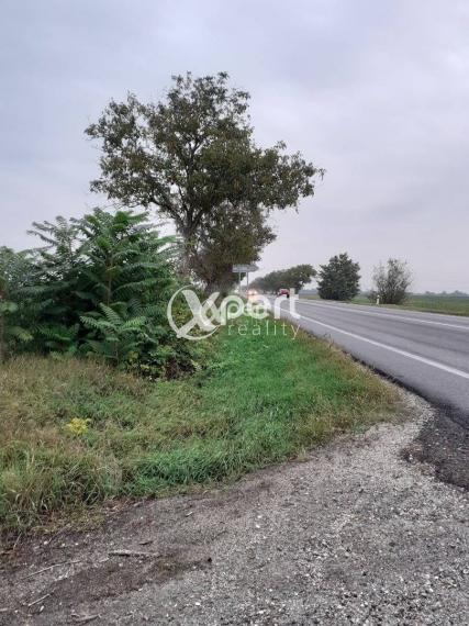 Predaj atraktívny pozemok na priemysel na hlavnom ťahu Seneckej cesty 