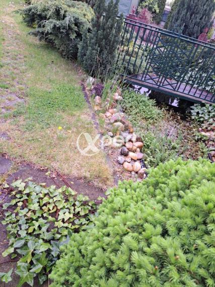 5-izbový r. dom, 250 metrov od Thermalparku DS