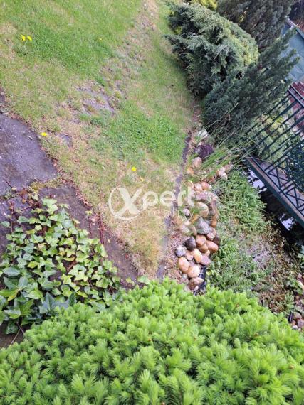 5-izbový r. dom, 250 metrov od Thermalparku DS