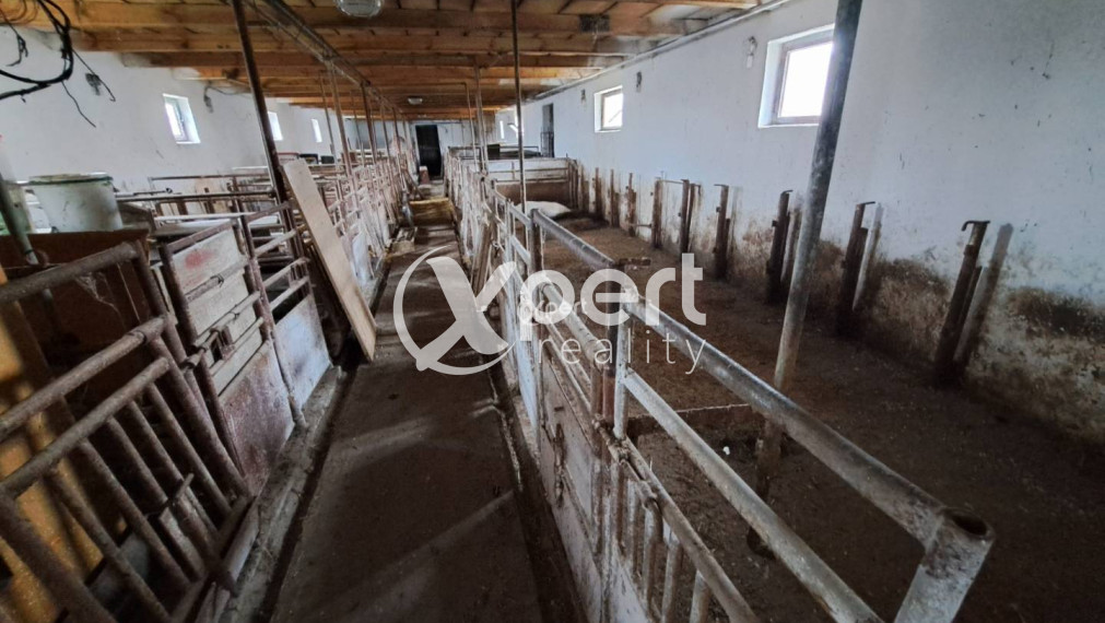 4 izb. rodinný dom s garážou MALÉ DVORNÍKY - Dunajská Streda