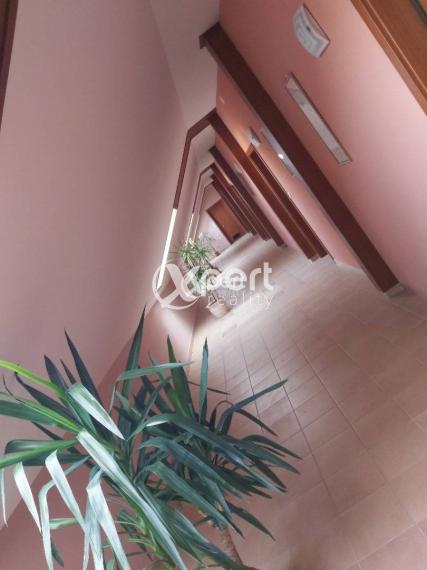 Predaj - PENZIÓN vo vyhľadávanej lokalite 2 km.od cesty R7 Holice