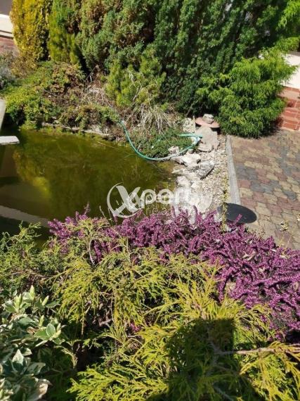 Predaj - PENZIÓN vo vyhľadávanej lokalite 2 km.od cesty R7 Holice