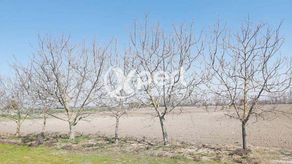 Predaj - PENZIÓN vo vyhľadávanej lokalite 2 km.od cesty R7 Holice