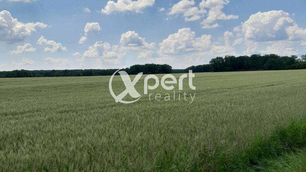Predaj orná pôda o rozlohe 270.000m2 v Senci.