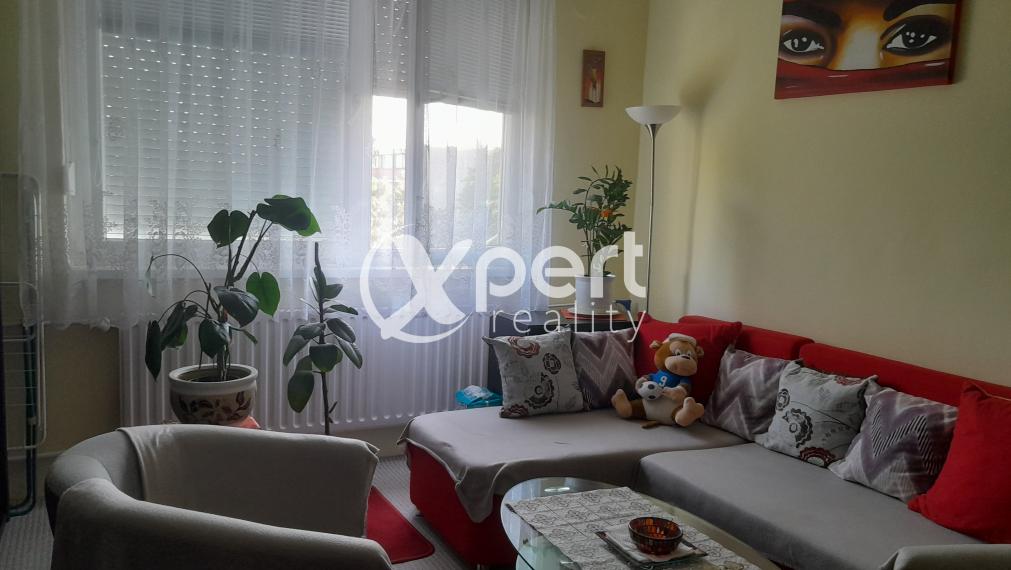 Prenájom 1i zariadený byt 36m2 v Šamoríne na Mestskom majeri