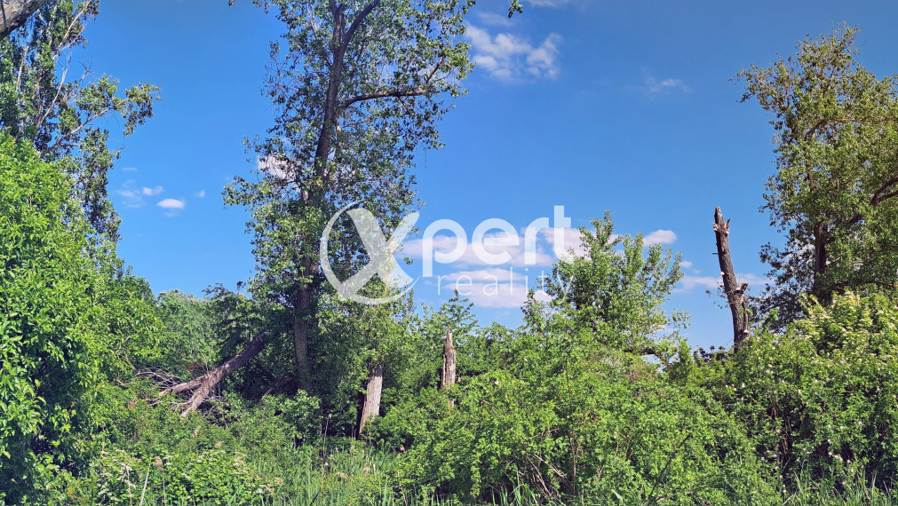 Rekreačný pozemok 75 árov, Ňárad