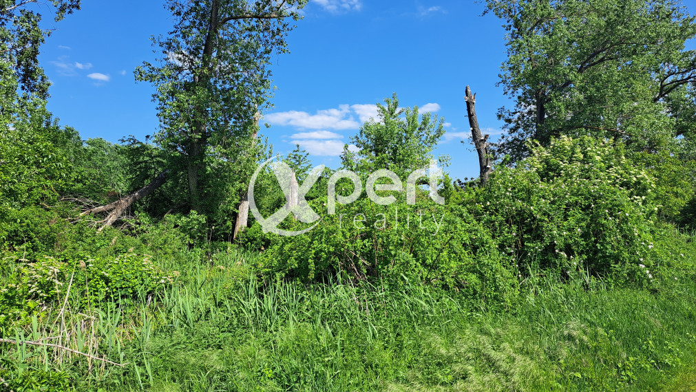 Rekreačný pozemok 75 árov, Ňárad pri Dunaji