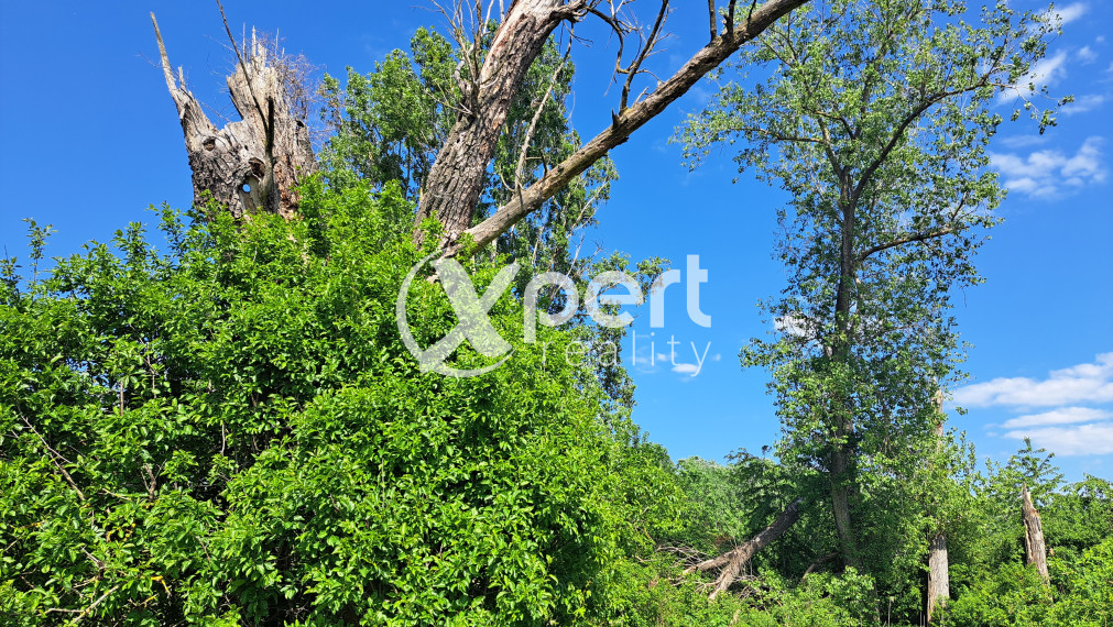 Rekreačný pozemok 75 árov, Ňárad pri Dunaji