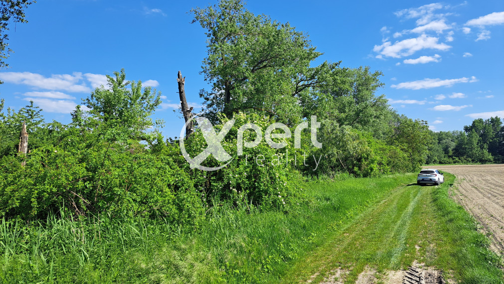 Rekreačný pozemok 75 árov, Ňárad pri Dunaji