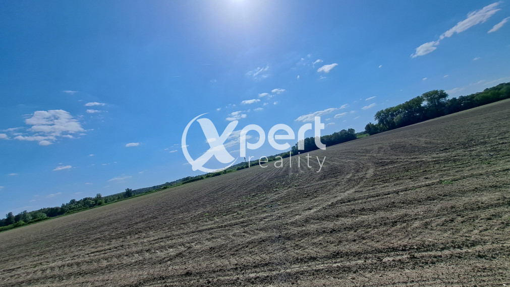 Rekreačný pozemok 75 árov, Ňárad pri Dunaji