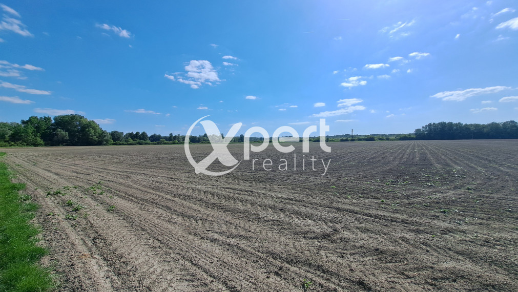 Rekreačný pozemok 75 árov, Ňárad pri Dunaji