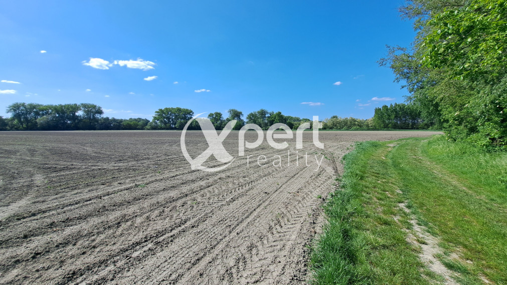 Rekreačný pozemok 75 árov, Ňárad pri Dunaji