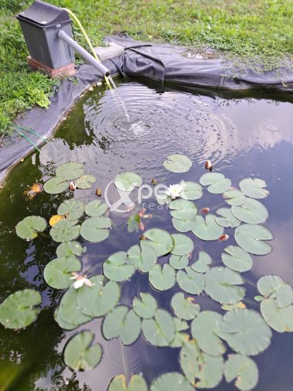 Dvojgeneračný rodinný dom na veľkorysom pozemku, Vrakúň