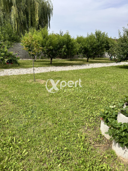 Realitná kancelária Xpert Reality s.r.o. ponúka na predaj pozemok vo Veľkom Mederi.