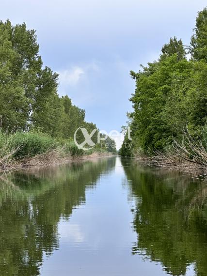 Ešte nemáte pozemok? Komfortný stavebný pozemok, tichá lokalita, Gabčíkovo - čast Dedinské Ostrovy