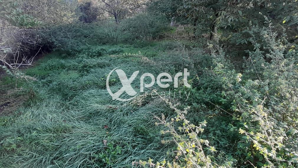 Predaj stavebný pozemok v obci Štvrtok na Ostrove