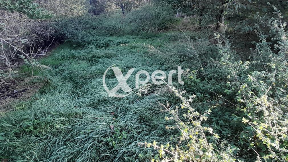 Predaj stavebný pozemok v obci Štvrtok na Ostrove