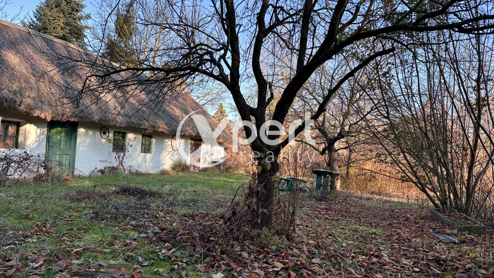 Ešte nemáte pozemok? Komfortný stavebný pozemok, tichá lokalita, Gabčíkovo - čast Dedinské Ostrovy