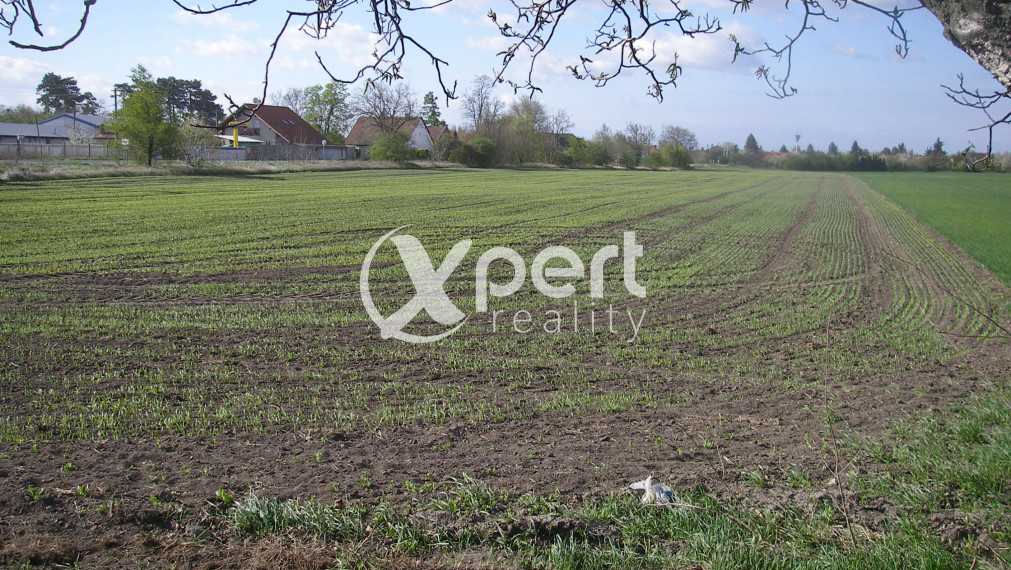 Predaj pozemok v celku Orná pôda 46.000m2 kataster Čakany okres DS pri asfaltovej ceste