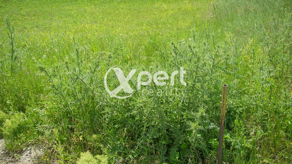 Predaj stavebný pozemok  s rozlohou 780m2 v Šamoríne na Seneckej ceste
