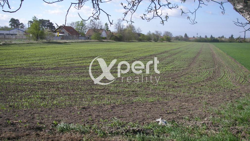 Predaj Investičná orná pôda v podiele 101.975m2  v okrese Nitra kataster Štefanovičová