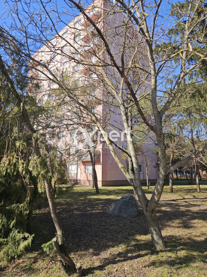 PREDAJ - 3 izbový byt v Dunajskej  Strede