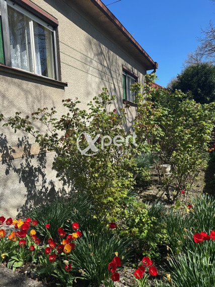 PREDAJ - 3 izbový rodinný dom vo vyhľadávanej lokalite Dunajskej Stredy