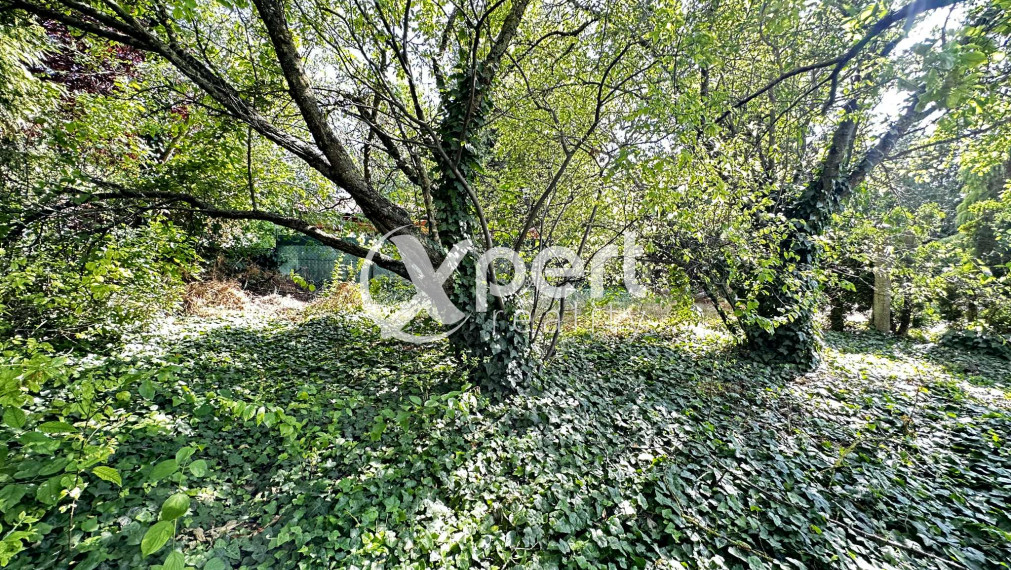 NOVÁ CENA / 140 000,- € Na predaj 3 izbový rodinný dom  s altánkom , s garážou a s krbom v tichej a pokojnej  lokalite v  obci Malé Dvorníky