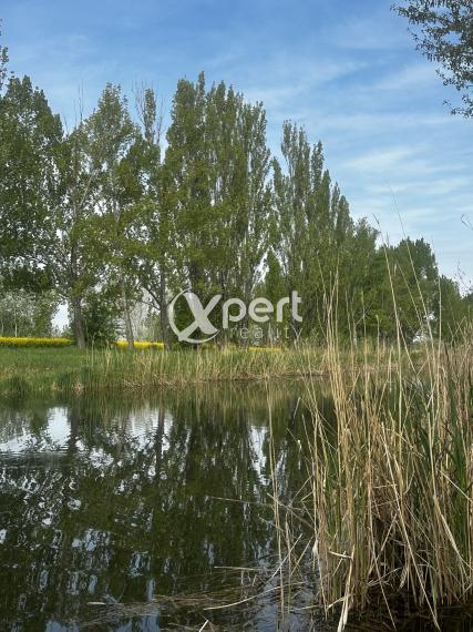 JEDINÁ REALITKA! Slnečný stavebný pozemky do 10km od mesta Veľký Meder