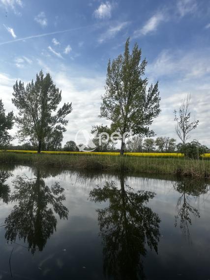JEDINÁ REALITKA! Slnečný stavebný pozemky do 10km od mesta Veľký Meder