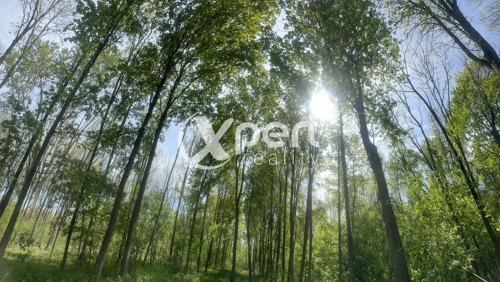 JEDINÁ REALITKA! Slnečný stavebný pozemky do 10km od mesta Veľký Meder