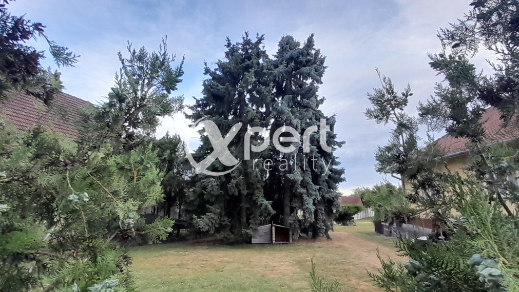 Predaj stavebný pozemok v Šamoríne na Kasárenskej ul.