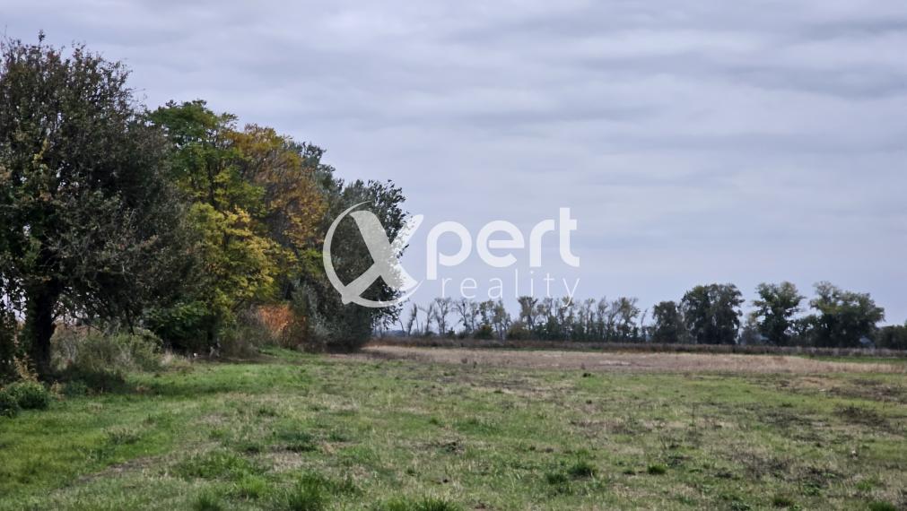 PREDAJ POZEMKU O VÝMERE 3453 M2 s rozmermi : 99 x 35 M na investíciu