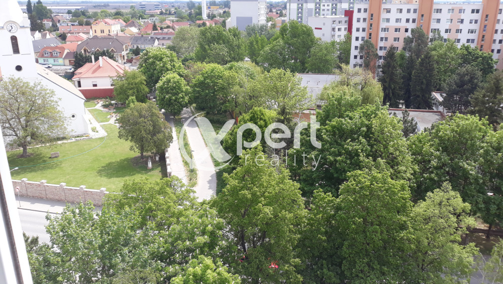 Predaj Garzónky 29m2 Hlavná ul. Šamorín