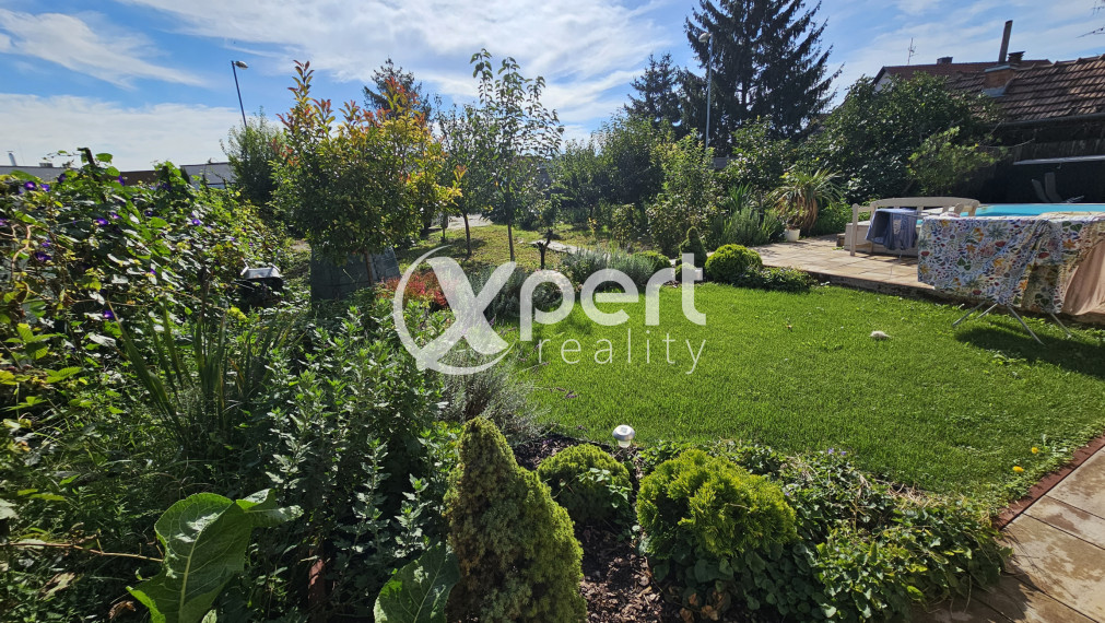 Viacúčelový celopodpivničený, poschodový bytový dom aj na investíciu