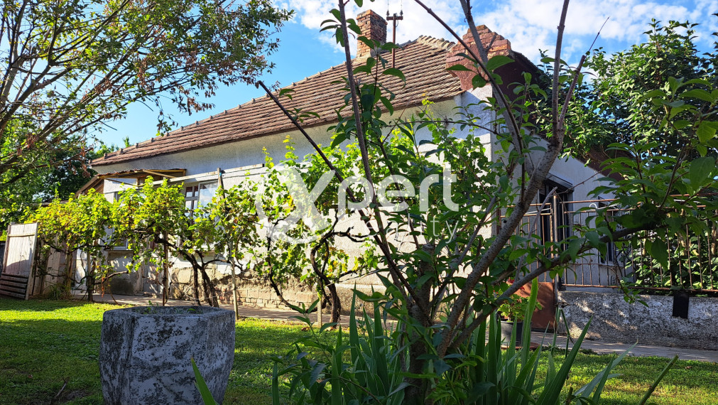 3 izbový DOM v Medveďove -NOVÁ CENA