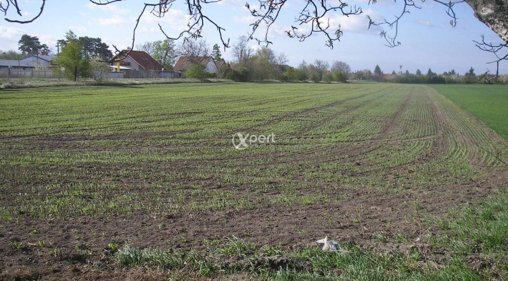 Hľadáme Poľnohospodárske a lesné pozemky cele Slovensko