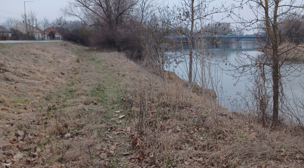 Rekreačné pozemky na brehu Malého Dunaja, Jahodná