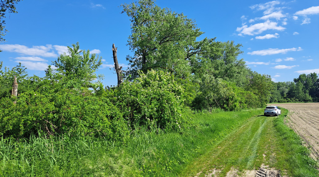 Rekreačný pozemok 75 árov lesopark, Ňárad