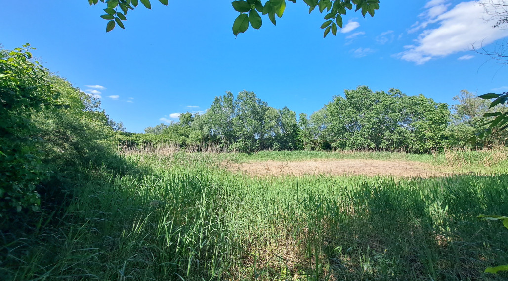 Rekreačný pozemok 75 árov, Ňárad