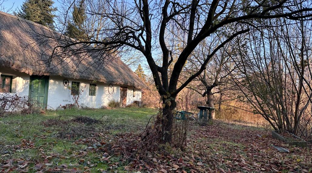 Ešte nemáte pozemok? Komfortný stavebný pozemok, tichá lokalita, Gabčíkovo - čast Dedinské Ostrovy