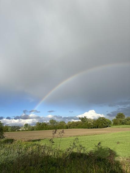 JEDINÁ REALITKA! Slnečný stavebný pozemky do 10km od mesta Veľký Meder