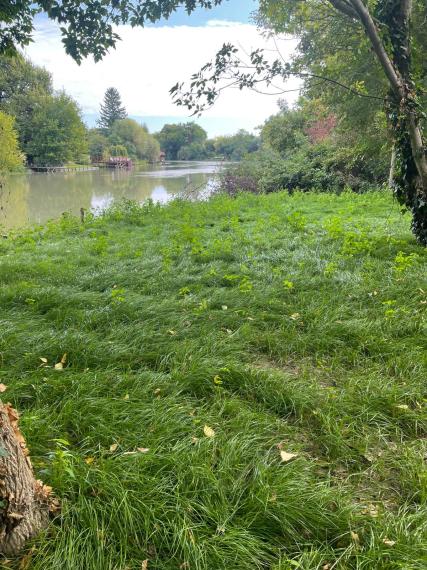 Krásny rekreačný pozemok na brehu Malého Dunaja